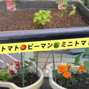 ヒメ日記 2026/05/05 16:27 投稿 れい 岐阜岐南各務原ちゃんこ