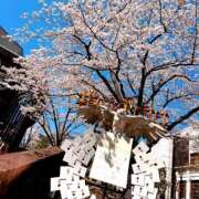 ヒメ日記 2025/10/18 11:15 投稿 ねね 奥様はエンジェル　国分寺店