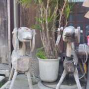 ヒメ日記 2025/05/14 09:37 投稿 はる 大阪堺人妻援護会