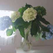 ヒメ日記 2025/06/03 10:35 投稿 はる 大阪堺人妻援護会