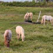 ヒメ日記 2025/01/18 14:19 投稿 すずこ 奥様鉄道69 岡山店