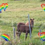 ヒメ日記 2025/01/26 00:19 投稿 すずこ 奥様鉄道69 岡山店