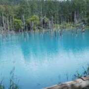 ヒメ日記 2025/04/05 18:39 投稿 すずこ 奥様鉄道69 岡山店