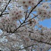 ヒメ日記 2025/04/22 04:29 投稿 すずこ 奥様鉄道69 岡山店