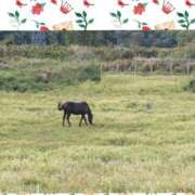 ヒメ日記 2025/04/26 18:26 投稿 すずこ 奥様鉄道69 岡山店