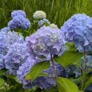 ヒメ日記 2025/05/11 19:19 投稿 すずこ 奥様鉄道69 岡山店