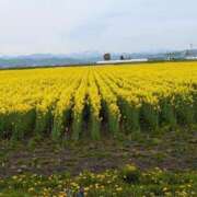 ヒメ日記 2025/05/19 03:59 投稿 すずこ 奥様鉄道69 岡山店