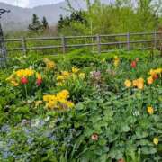 ヒメ日記 2025/05/21 00:39 投稿 すずこ 奥様鉄道69 岡山店