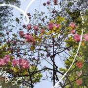 ヒメ日記 2025/05/22 15:39 投稿 すずこ 奥様鉄道69 岡山店