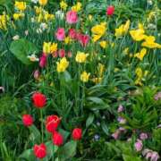 ヒメ日記 2025/05/26 15:29 投稿 すずこ 奥様鉄道69 岡山店