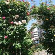 ヒメ日記 2025/09/03 17:49 投稿 すずこ 奥様鉄道69 岡山店