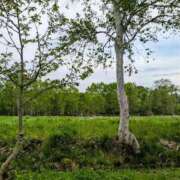 ヒメ日記 2025/09/23 20:29 投稿 すずこ 奥様鉄道69 岡山店