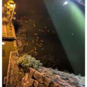 ヒメ日記 2025/10/11 00:09 投稿 すずこ 奥様鉄道69 岡山店