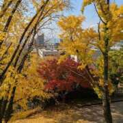 ヒメ日記 2025/11/27 17:29 投稿 すずこ 奥様鉄道69 岡山店