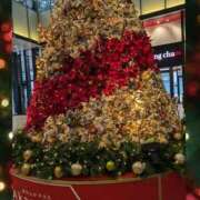 ヒメ日記 2025/12/22 17:39 投稿 すずこ 奥様鉄道69 岡山店