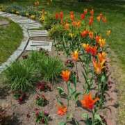 ヒメ日記 2025/12/31 23:19 投稿 すずこ 奥様鉄道69 岡山店