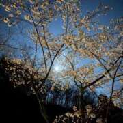 ヒメ日記 2026/02/13 15:29 投稿 すずこ 奥様鉄道69 岡山店