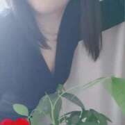 ヒメ日記 2026/01/18 11:59 投稿 はる 京都人妻援護会