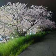 ヒメ日記 2025/04/13 14:38 投稿 あみ イメクラ土浦女学園