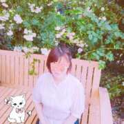 ヒメ日記 2025/05/19 17:00 投稿 あすか 小岩人妻花壇