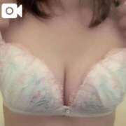 ヒメ日記 2025/09/03 20:16 投稿 うみ ホワイトベル