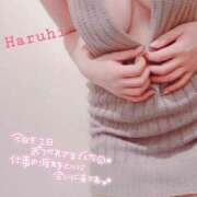 ヒメ日記 2024/09/04 00:01 投稿 春陽-HARUHI- luxury aroma 咲