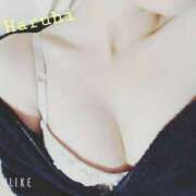 ヒメ日記 2026/03/12 20:32 投稿 春陽-HARUHI- luxury aroma 咲