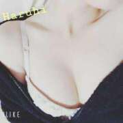 ヒメ日記 2026/04/02 12:11 投稿 春陽-HARUHI- luxury aroma 咲