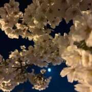 ヒメ日記 2025/04/13 00:24 投稿 宮下かずき 五十路マダム 新潟店(カサブランカグループ)