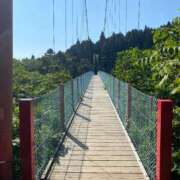 ヒメ日記 2025/08/24 15:04 投稿 宮下かずき 五十路マダム 新潟店(カサブランカグループ)