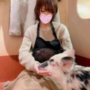 ヒメ日記 2025/02/10 00:06 投稿 あすか 東京妻next (京都グループ)