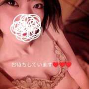 ヒメ日記 2025/04/03 20:06 投稿 あすか 東京妻next (京都グループ)