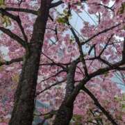 ヒメ日記 2025/05/10 08:56 投稿 あすか 東京妻next (京都グループ)