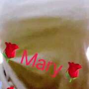 ヒメ日記 2024/12/14 12:21 投稿 メアリー 渋谷蘭の会