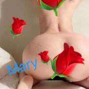 ヒメ日記 2025/02/05 13:51 投稿 メアリー 渋谷蘭の会