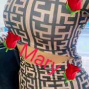 ヒメ日記 2025/03/28 13:51 投稿 メアリー 渋谷蘭の会