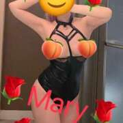 ヒメ日記 2025/04/05 00:51 投稿 メアリー 渋谷蘭の会