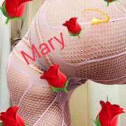 ヒメ日記 2025/06/27 12:51 投稿 メアリー 渋谷蘭の会