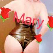 ヒメ日記 2025/07/01 12:02 投稿 メアリー 渋谷蘭の会