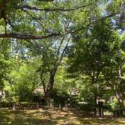 ヒメ日記 2025/07/30 14:02 投稿 メアリー 渋谷蘭の会