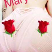 ヒメ日記 2025/08/06 13:01 投稿 メアリー 渋谷蘭の会