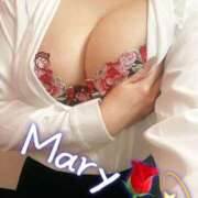 ヒメ日記 2025/12/15 18:05 投稿 メアリー 渋谷蘭の会