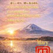 メアリー あなたの応援隊長🌹 渋谷蘭の会