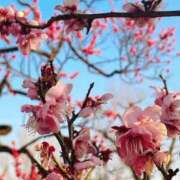 ヒメ日記 2026/02/23 07:25 投稿 メアリー 渋谷蘭の会