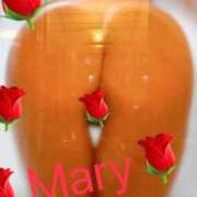 ヒメ日記 2026/03/03 13:35 投稿 メアリー 渋谷蘭の会