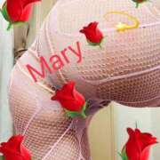 ヒメ日記 2026/03/04 06:56 投稿 メアリー 渋谷蘭の会