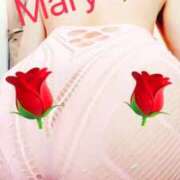 ヒメ日記 2026/03/23 14:00 投稿 メアリー 渋谷蘭の会