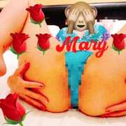 ヒメ日記 2026/04/02 19:25 投稿 メアリー 渋谷蘭の会