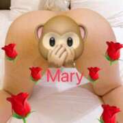 ヒメ日記 2026/04/06 06:55 投稿 メアリー 渋谷蘭の会