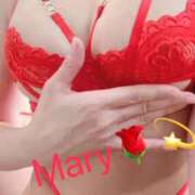 ヒメ日記 2026/04/07 06:15 投稿 メアリー 渋谷蘭の会